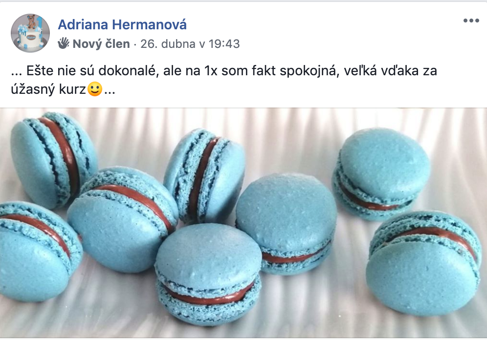 Reference Heřmanová